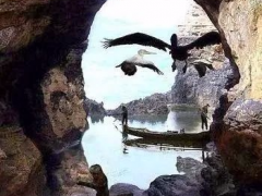 ôЦ
