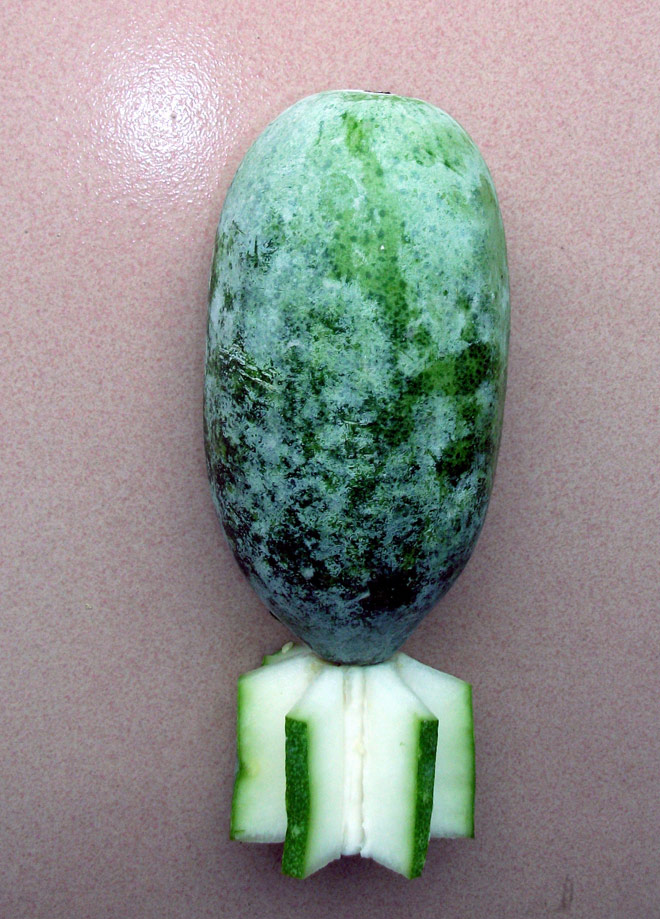 201221105513726.jpg