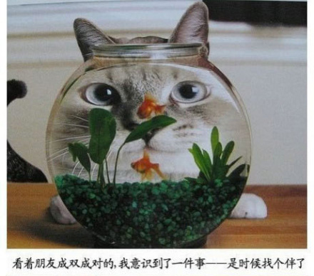 ̫ɰˡèͼ