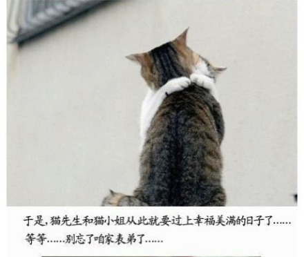 ̫ɰˡèͼ