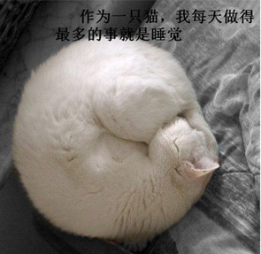 ̫ɰˡèͼ