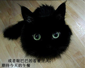 ̫ɰˡèͼ