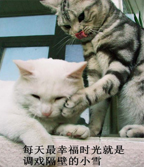 ̫ɰˡèͼ