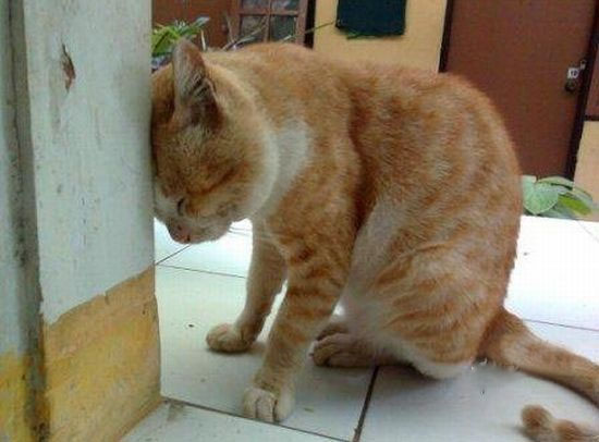 ŶԲѾСʱˣҰɣ