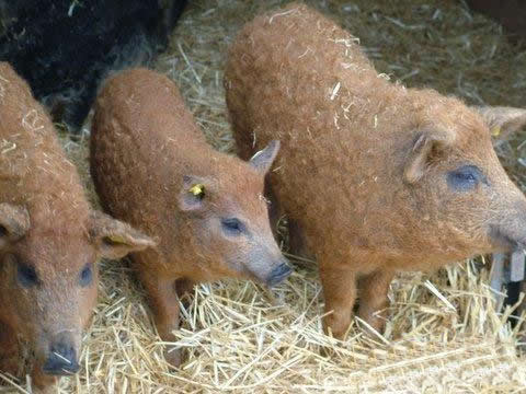 ˵оȥ˸Ǿ
