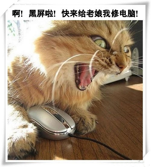 Цè޵