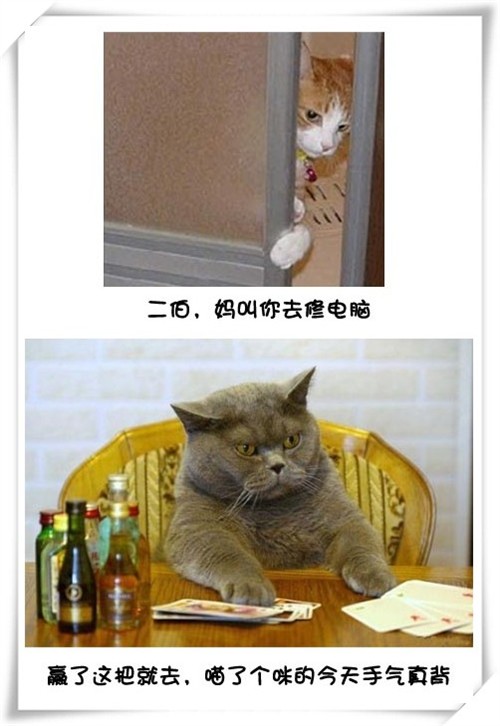 Цè޵