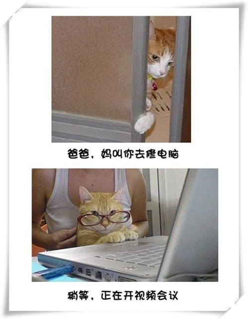 Цè޵