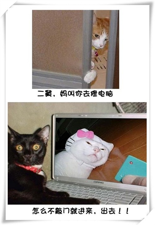 Цè޵