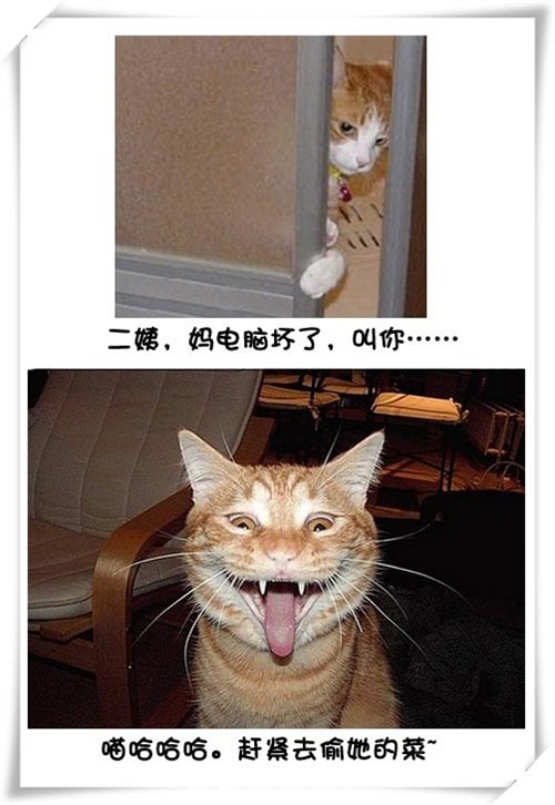 Цè޵