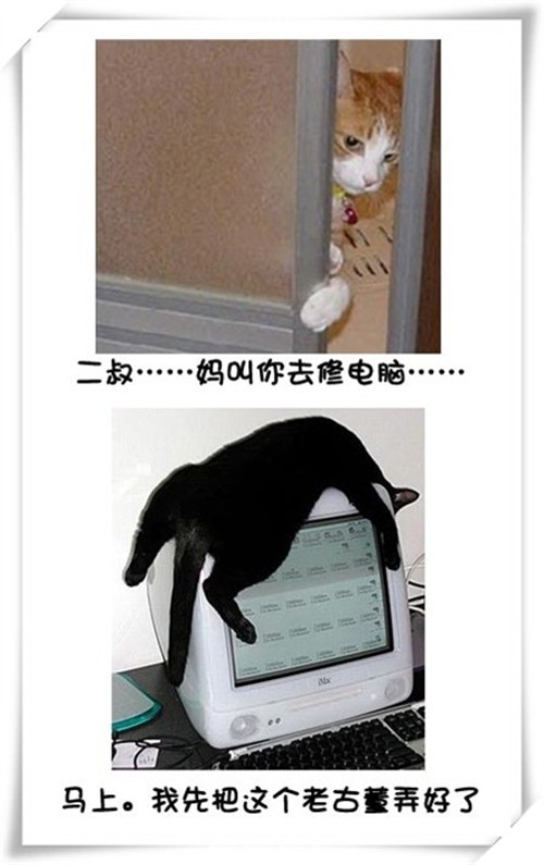 Цè޵