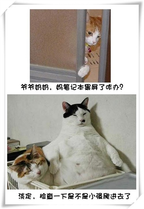 Цè޵