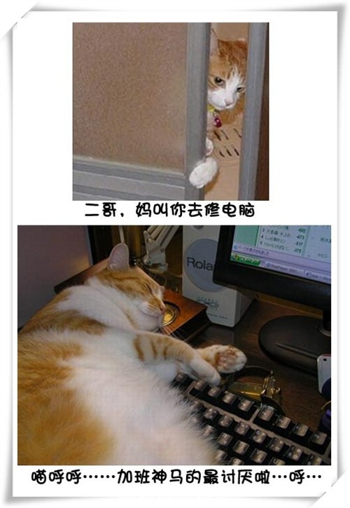 Цè޵
