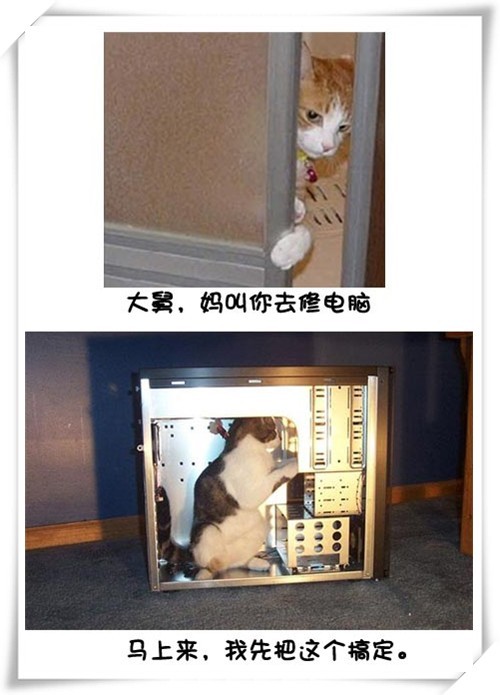 Цè޵