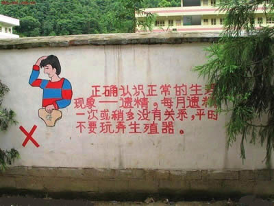 ˵ı