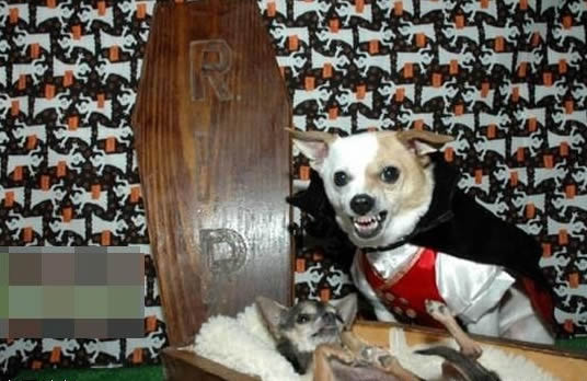 Ҳ