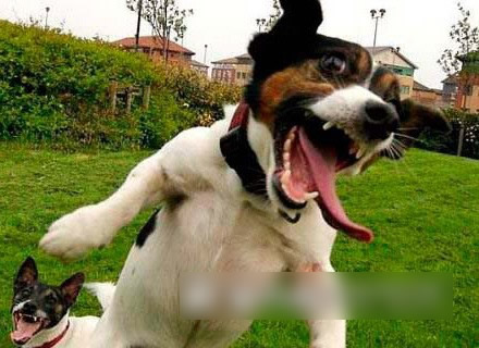 Ҳ