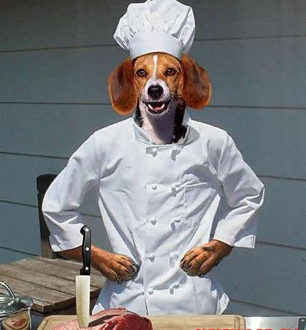 Ҳ
