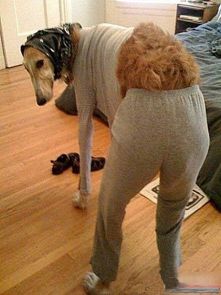 ĴȰ