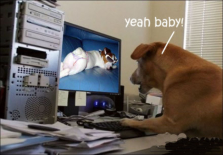 ŮҲ̫˰